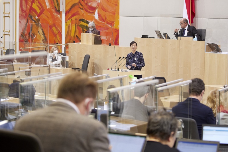 Am Rednerpult Nationalratsabgeordnete Sabine Schatz (SPÖ)