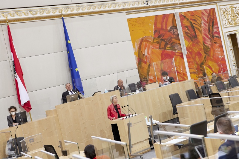 Am Rednerpult Nationalratsabgeordnete Romana Deckenbacher (ÖVP)