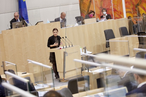 Am Rednerpult Nationalratsabgeordnete Ewa Ernst-Dziedzic (GRÜNE)