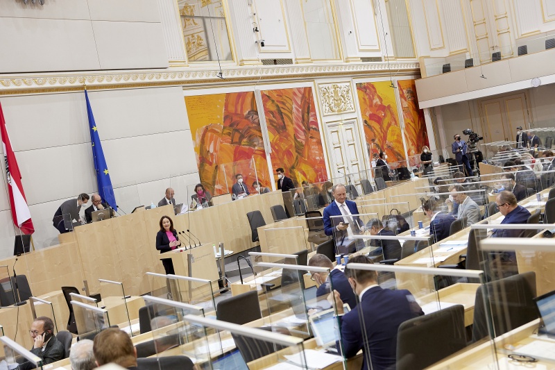 Am Rednerpult Nationalratsabgeordnete Cornelia Ecker (SPÖ)