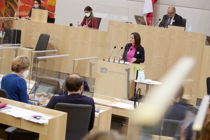 Am Rednerpult Nationalratsabgeordnete Cornelia Ecker (SPÖ)
