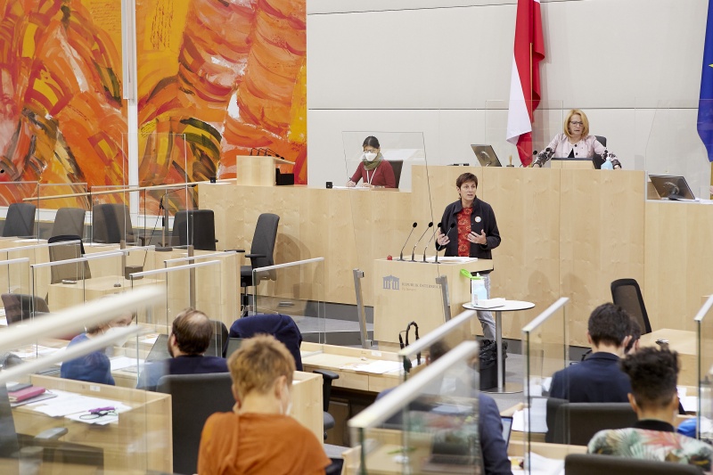 Am Rednerpult Nationalratsabgeordnete Astrid Rössler (Grüne)