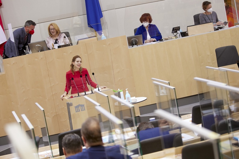Am Rednerpult Nationalratsabgeordnete Carmen Jeitler-Cincelli (ÖVP)
