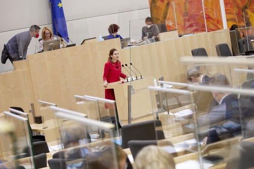 Am Rednerpult Nationalratsabgeordnete Carmen Jeitler-Cincelli (ÖVP)