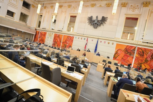 Blick ins Plenum. Bundesrätin Doris Berger-Grabner (ÖVP) am Rednerpult