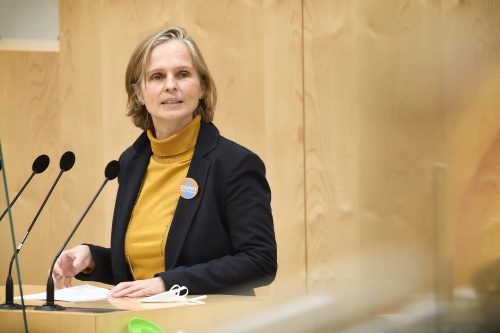 Bundesrätin Daniela Gruber-Pruner (SPÖ) am Wort