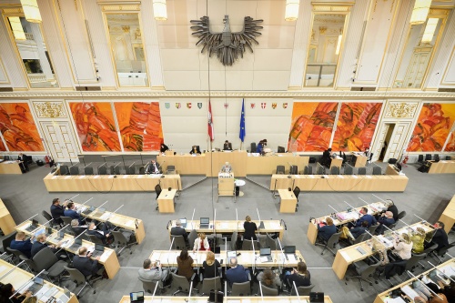 Blick ins Plenum. Bundesrätin Marlies Steiner-Wieser (FPÖ) am Rednerpult