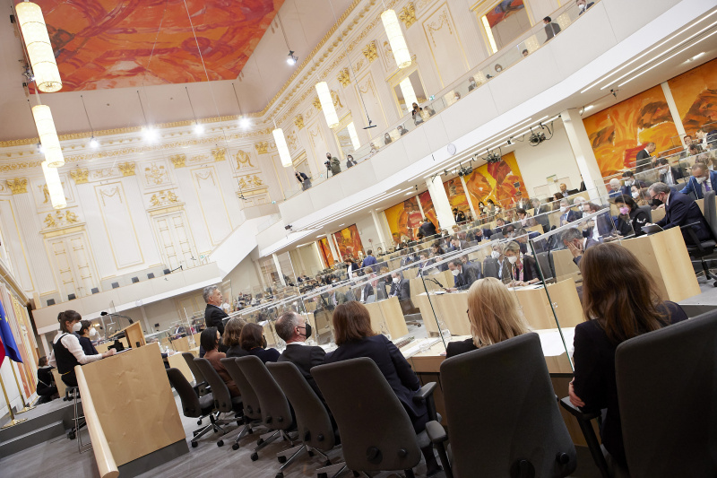 Erklärung von Vizekanzler Werner Kogler (GRÜNE)