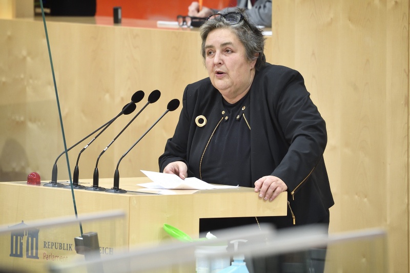 Nationalratsabgeordnete Eva Blimlinger (GRÜNE) am Wort