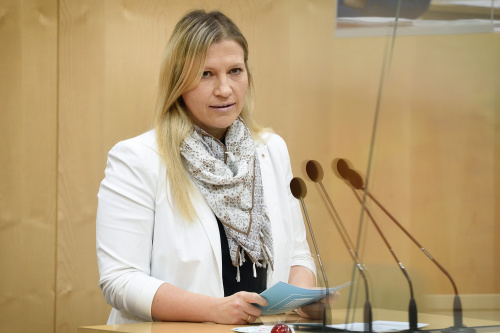 Bundesrätin Alexandra Platzer (ÖVP) am Wort