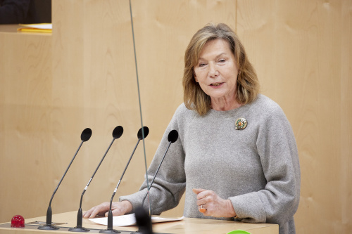 Fragestunde, am Rednerpult Bundesrätin Sonja Zwazl (ÖVP)