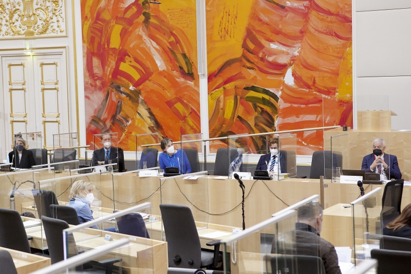 Von links: Christine Wendehorst, Christian Sebesta, Susanne Rabday, Konrad Lachmayer, Michael Geistlinger