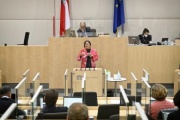 Am Rednerpult: Nationalratsabgeordnete Petra Bayr (SPÖ)