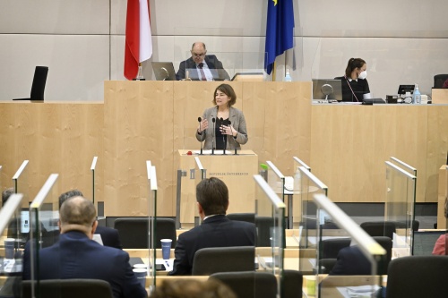 Am Rednerpult: Nationalratsabgeordnete Elisabeth Götze (Grüne)