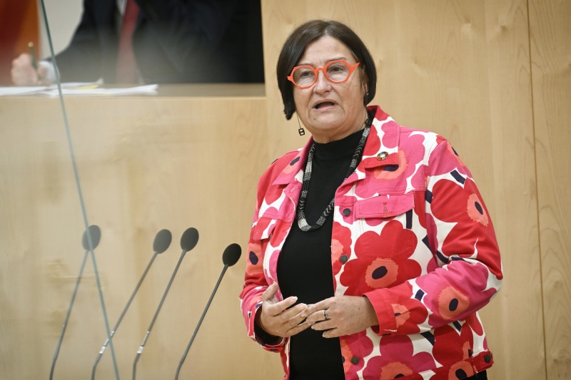 Am Rednerpult: Nationalratsabgeordnete Petra Bayr (SPÖ)