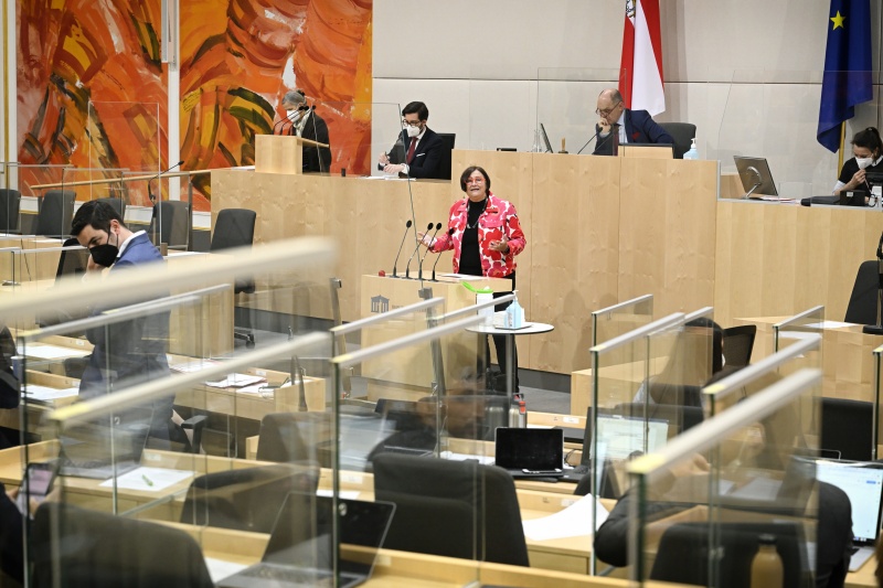 Am Rednerpult: Nationalratsabgeordnete Petra Bayr (SPÖ)