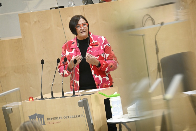 Am Rednerpult: Nationalratsabgeordnete Petra Bayr (SPÖ)