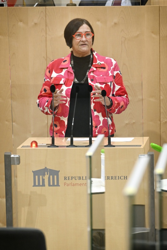 Am Rednerpult: Nationalratsabgeordnete Petra Bayr (SPÖ)