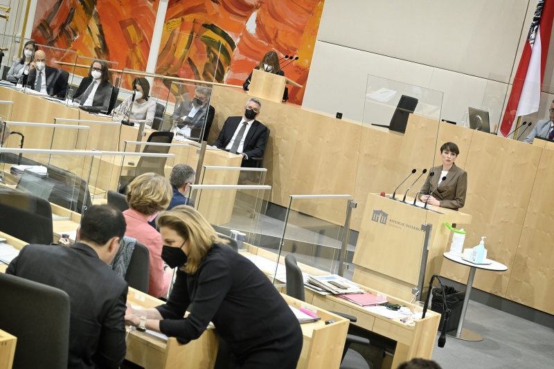 Nationalratsabgeordnete Sigrid Maurer (GRÜNE) am Wort