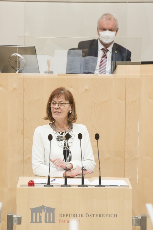 Am Rednerpult: Bundesrätin Michaela Schartel (FPÖ). Am Präsidium: Bundesratsvizepräsident Günther Novak (SPÖ)