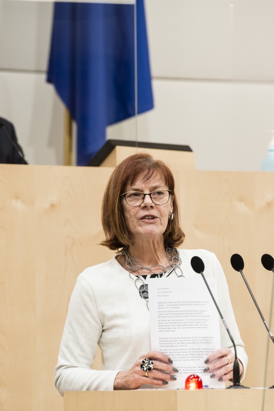 Am Rednerpult: Bundesrätin Michaela Schartel (FPÖ)