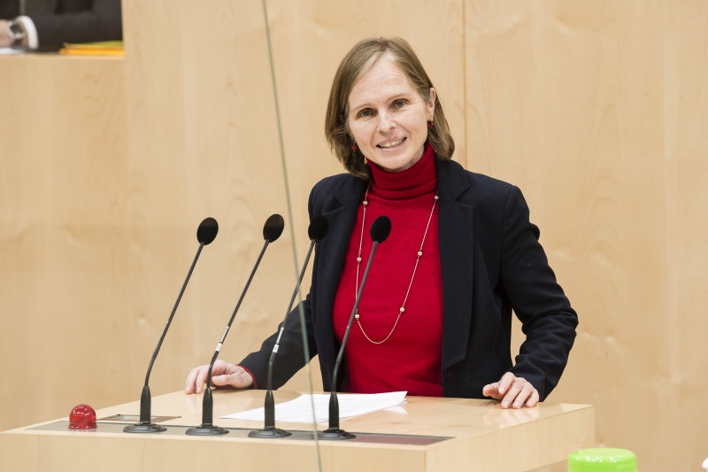 Am Rednerpult: Bundesrätin Daniela Gruber-Pruner (SPÖ)