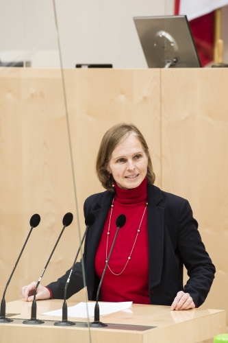 Am Rednerpult: Bundesrätin Daniela Gruber-Pruner (SPÖ)
