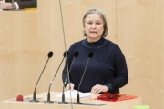 Am Rednerpult: Bundesrätin Bettina Lancaster (SPÖ)