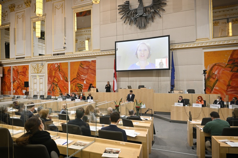 Virtuell zugeschaltet: Vertreterin von Online Accessibility Toolkit der Regierung Süd-Australiens