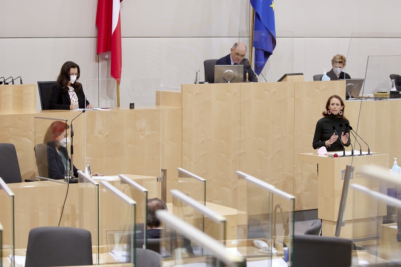 Am Rednerpult: Nationalratsabgeordnete Maria Theresia Niss (ÖVP)