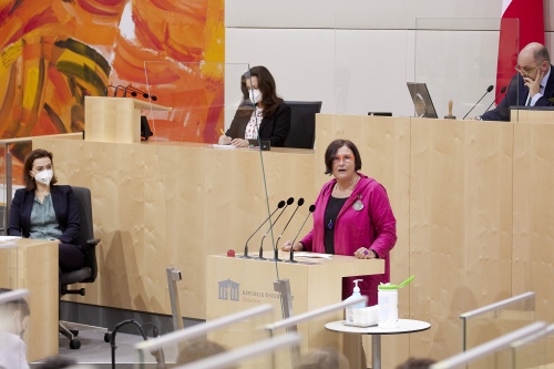 Am Rednerpult: Nationalratsabgeordnete Petra Bayr (SPÖ)