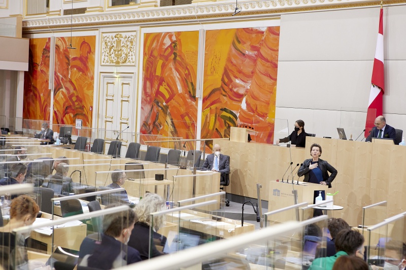 Am Rednerpult: Nationalratsabgeordnete Gabriele Heinisch-Hosek (SPÖ)