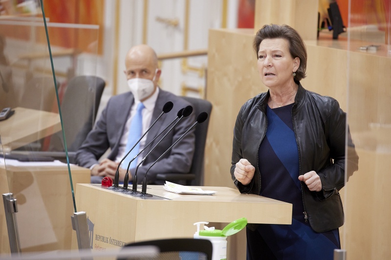 Am Rednerpult: Nationalratsabgeordnete Gabriele Heinisch-Hosek (SPÖ)