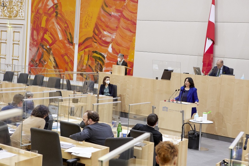 Am Rednerpult: Nationalratsabgeordnete Selma Yildirim (SPÖ)