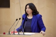 Am Rednerpult: Nationalratsabgeordnete Selma Yildirim (SPÖ)
