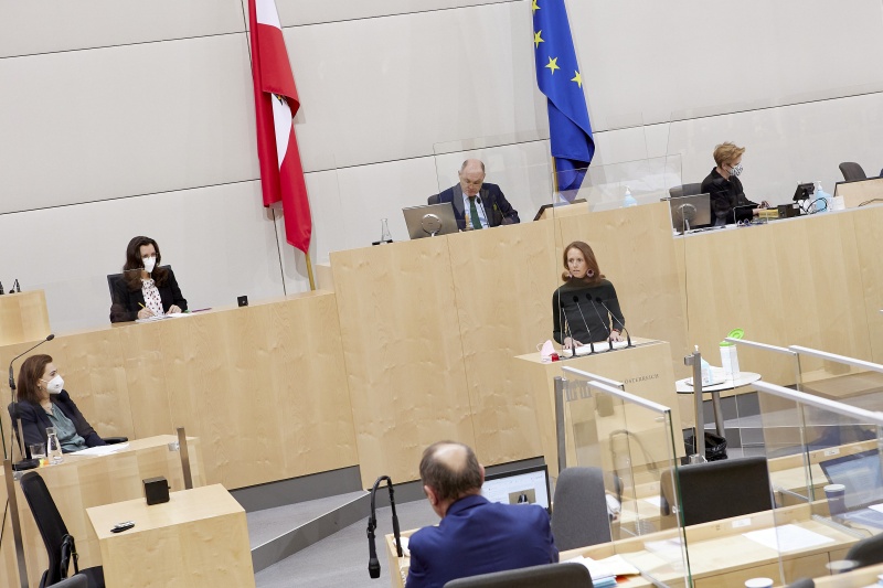 Am Rednerpult: Nationalratsabgeordnete Maria Theresia Niss (ÖVP)