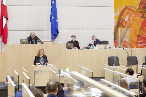 Am Rednerpult: Abgeordnete zum EU-Parlament Monika Vana (GRÜNE)