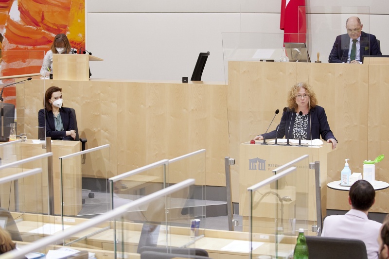 Am Rednerpult: Abgeordnete zum EU-Parlament Monika Vana (GRÜNE)