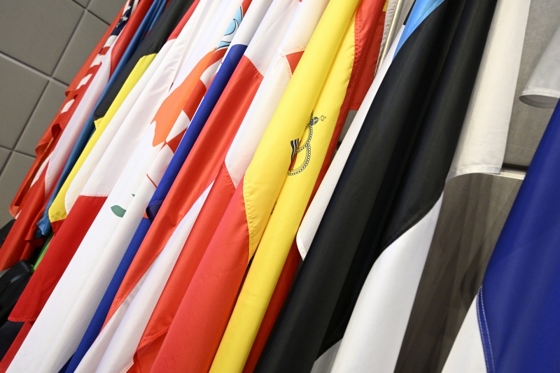 Flaggen der Staaten bei der 21. Wintertagung der OSZE PV in Wien