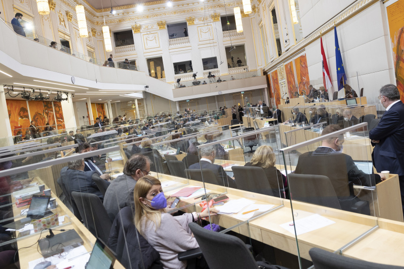 Erklärung Vizekanzler Werner Kogler (GRÜNE)