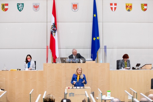 Bundesrätin Elisabeth Grossmann (SPÖ) am Rednerpult