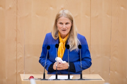 Bundesrätin Elisabeth Grossmann (SPÖ) am Rednerpult