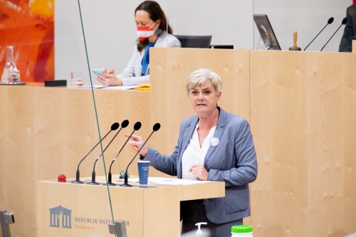 Bundesrätin Marlies Steiner-Wieser (FPÖ)  am Rednerpult