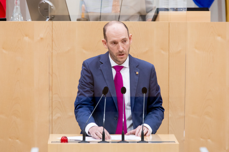 Bundesrat Karl-Arthur Arlamovsky am Rednerpult