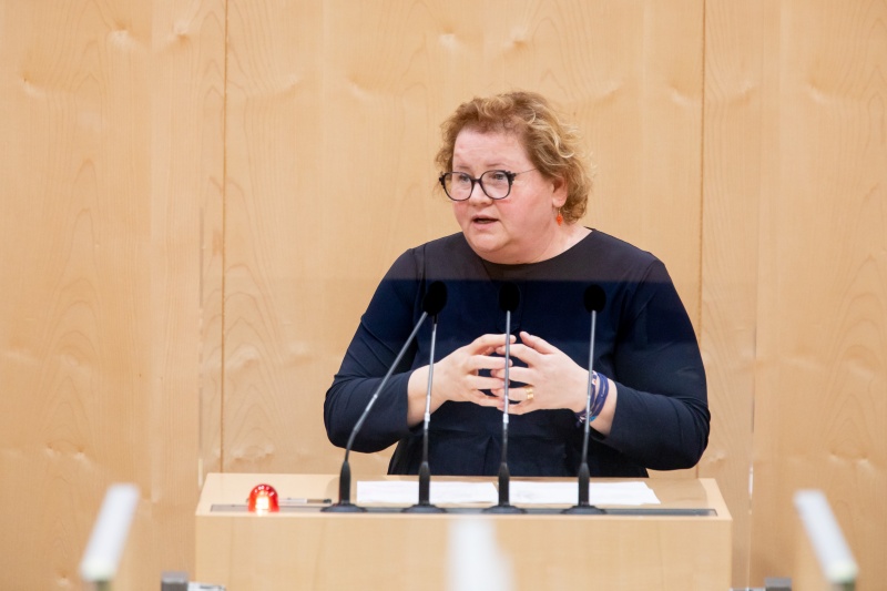 Bundesrätin Korinna Schumann (SPÖ) am Rednerpult
