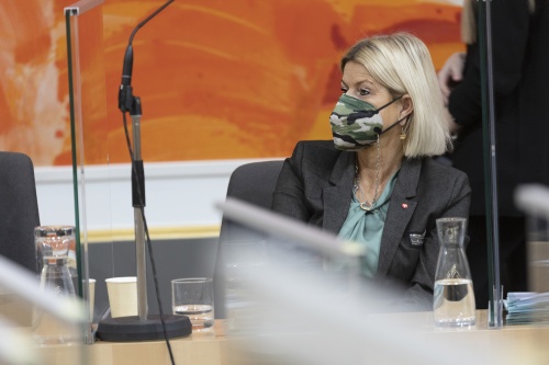 Verteidigungsminister Klaudia Tanner (ÖVP)