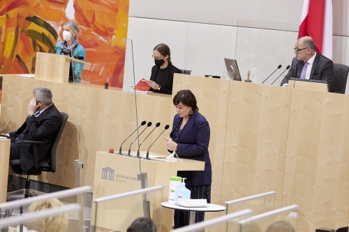 Am Rednerpult: Nationalratsabgeordnete Petra Oberrauner (SPÖ)