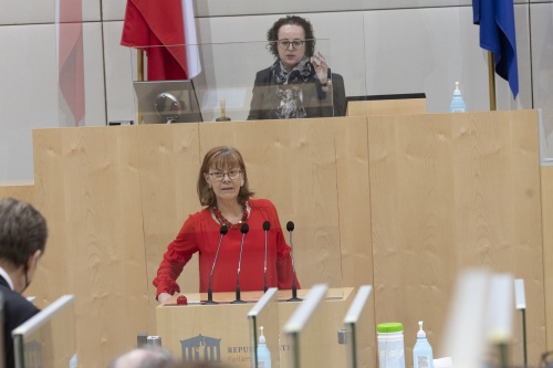 Berichtigung durch Bundesrätin Andrea Michaela Schartel (FPÖ), am Präsidium Bundesratspräsidentin Christine Schwarz-Fuchs (ÖVP)