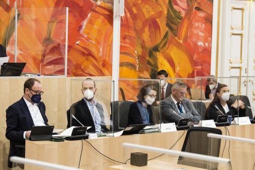 Auf der Regierungsbank von links: Sozialminister Johannes Rauch (GRÜNE), Expertin Christiane Druml, Experte Hannes Strasser, Expertin Dorothee von Laer