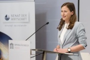 Am Rednerpult: Staatssekretärin Claudia Plakolm (ÖVP)